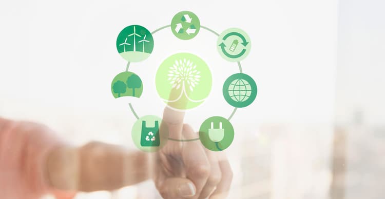 Curso: Introdução em Economia Circular